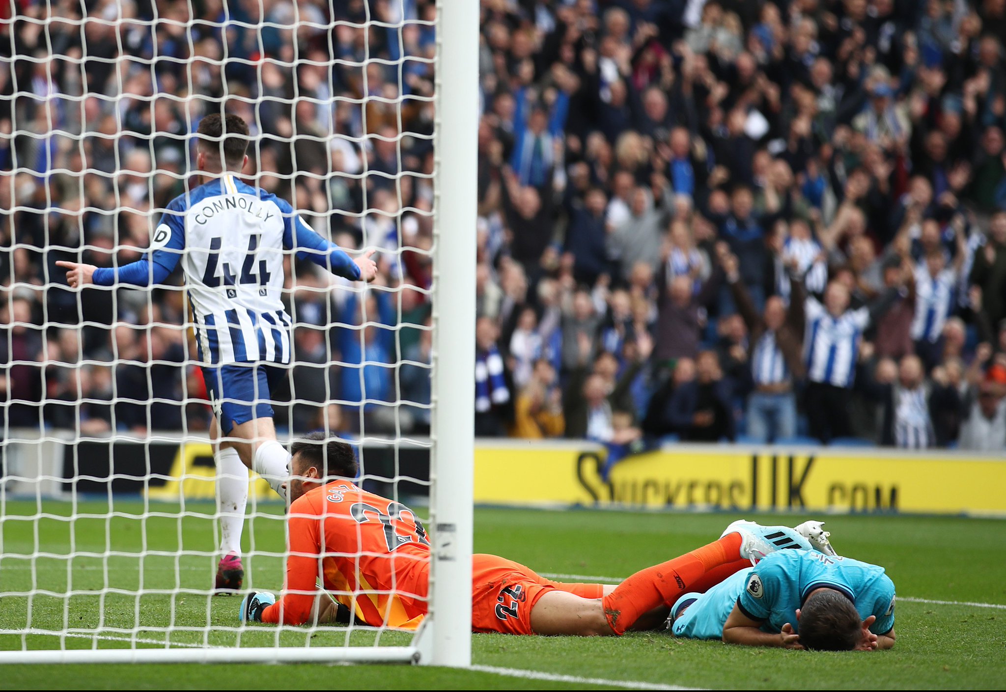 智慧和全面 智慧和全面